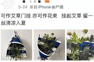 记者：提议徐根宝接替哈维尔担任救火主帅，总比哈维尔好